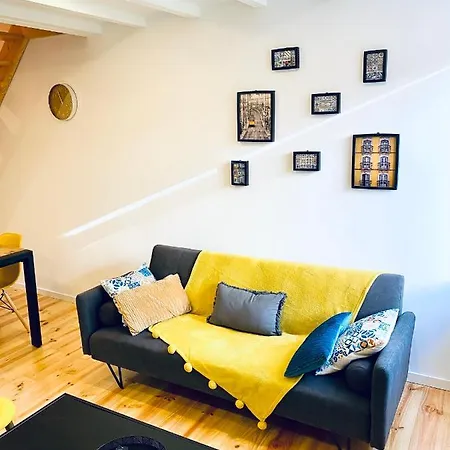 Porto Wine Loft Duplex With Swimming Pool Apartment *