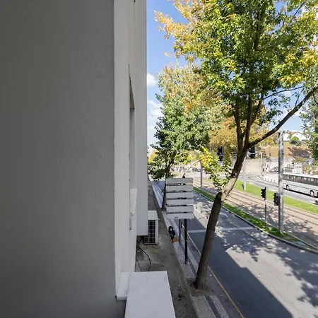 Apartment Host Wise - Lovely Bright Flat - Instaworthy View