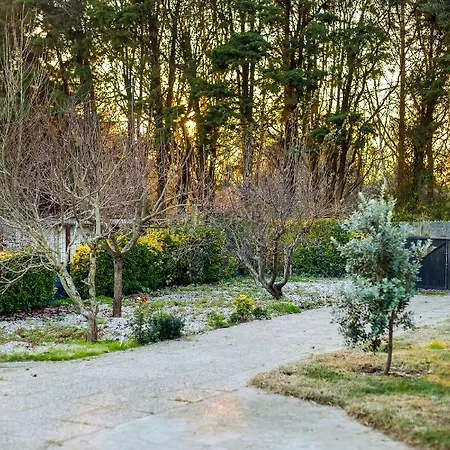 Yellow Door Cabin Near Beach With Big Outdoor Space