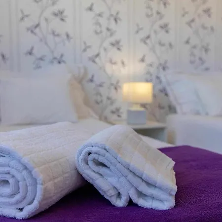 Violet House Your Place To Homestay