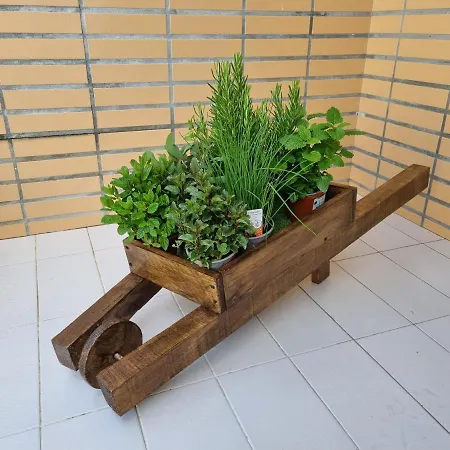 Apartment Beech-house *