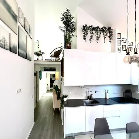 Apartment Luxury Penthouse - River Gallery Art - View¢
