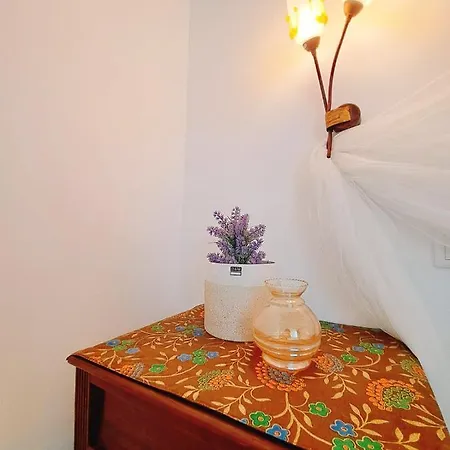 Homestay Casa Dos Sequeiras Tawny