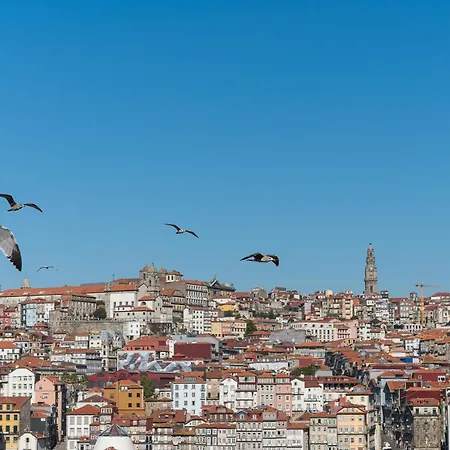 Dream Views Of Porto - Private In Gaia W/ 2 Bedrooms! Apartment