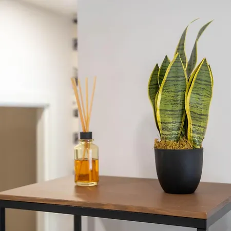 Oasis Avenida Da Republica Apartment