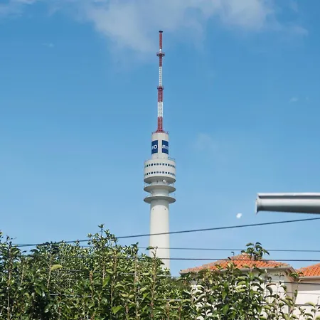 Santa Rita *