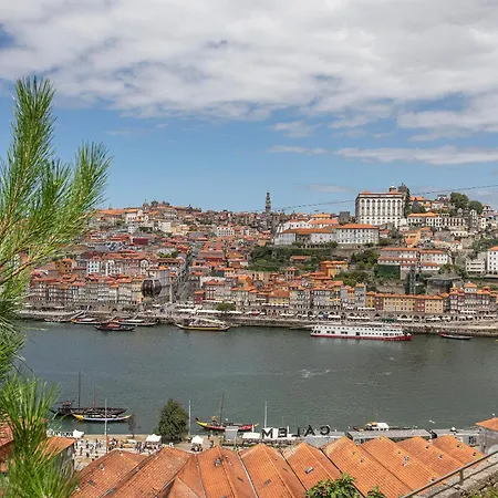 Liiiving In Gaia - Douro Dream View *