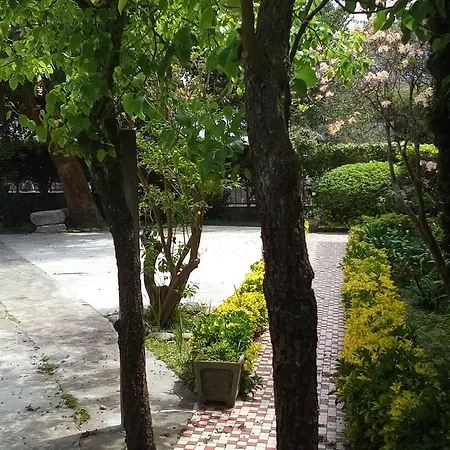 Celanus Quinta Das Pedras I Francelos