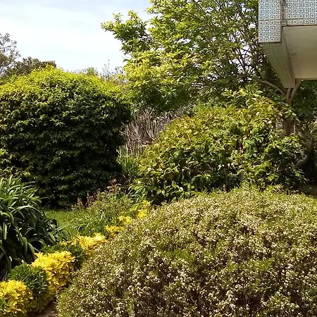Holiday home Celanus Quinta Das Pedras I Francelos *