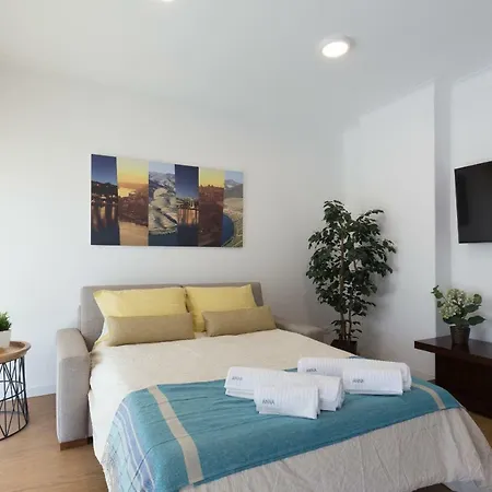 Host Wise - Lovely Flat With Charming Terrace * Vila Nova de Gaia